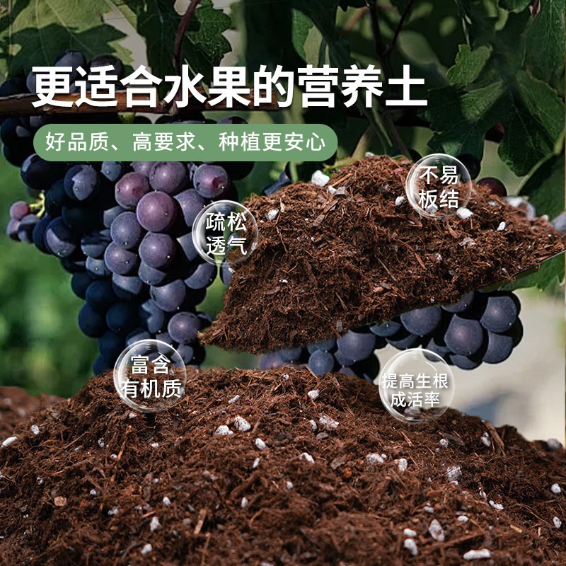 佛手柑专用土香橼通用型果树种植盆栽透气泥炭土植物养花营养土