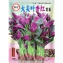 耐热高产红苋菜苋菜种子