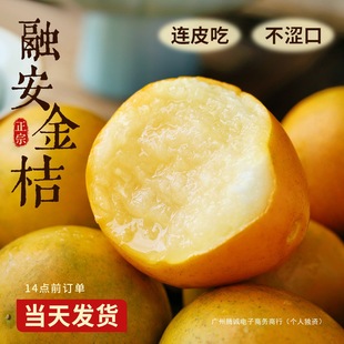 �V���ڰ���ƤС���10���r���Ӯ���ˮ���۽�̽ۼ����ЋD����5��