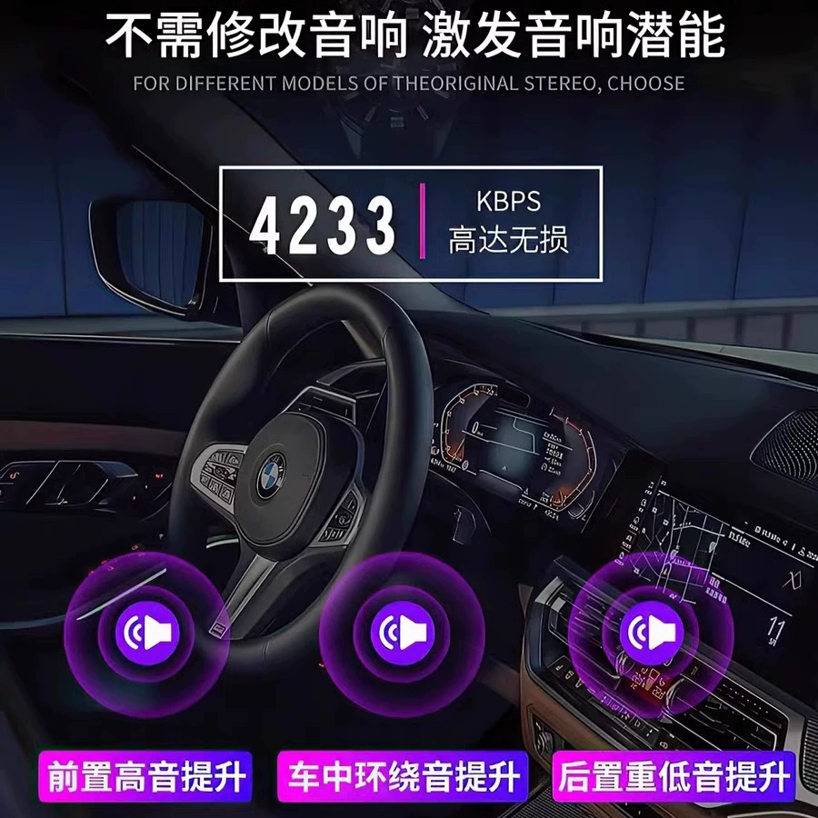 Car U disk songs 2025 new Douyin hot DJ Chinese lossless MP3 classic music U disk others