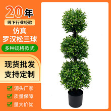 ���R�d�����_�h�����͘������������Gֲ�_�h�Ɏ����҃��b[��