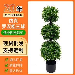 ���R�d�����_�h�����͘������������Gֲ�_�h�Ɏ����҃��b[��