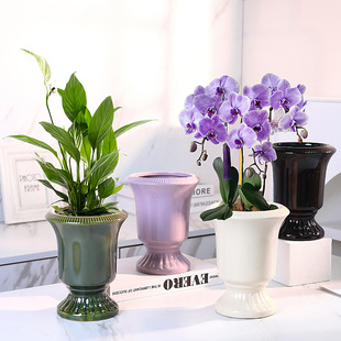 ?��ʽ���_�մɻ��軨�����m�b�ƿ�ﺣ�Ď���С���������[