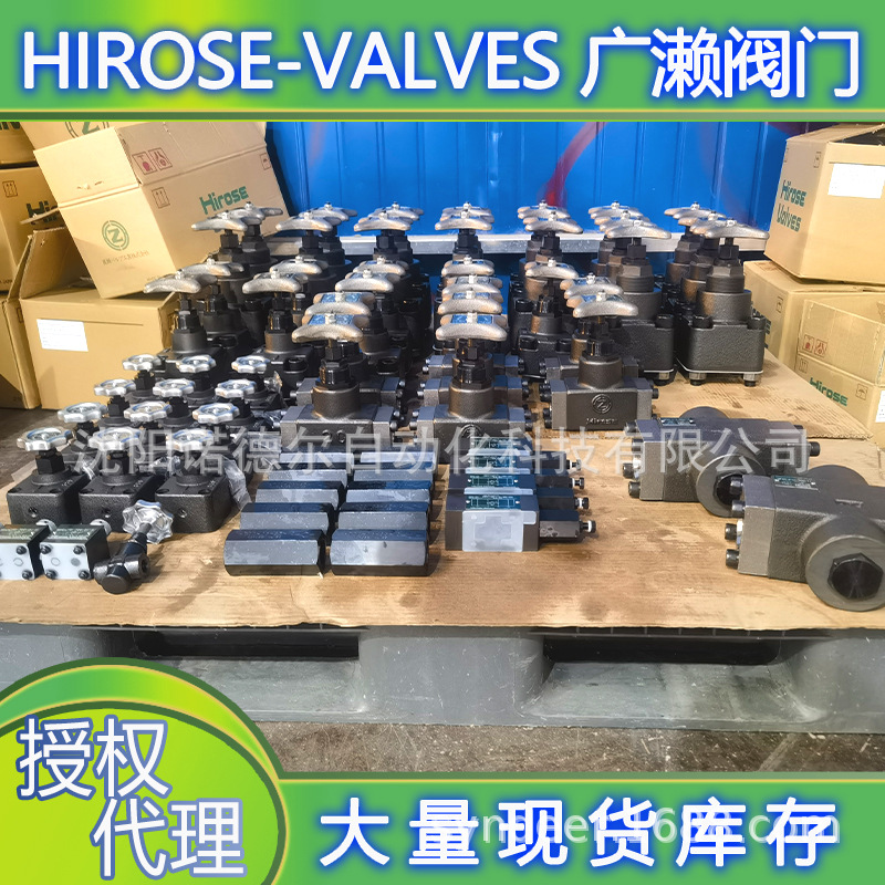 止回阀 HTIC-06-35-10广濑单向阀hirose-valves广濑阀门工业
