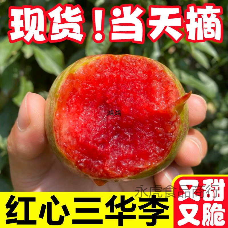 Sanhua Li Li Si свежий сбор денег, взвод Li Hongxin Furong сладкая и хрустящая независимая станция смешанной партии AliExpress Red Heart Li