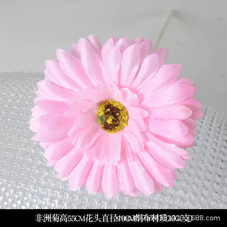 Gerbera pink