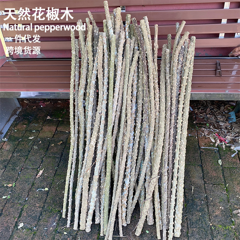 Natural Wild Pepperwood Perch for Myna, Starling, and Parrot Birds