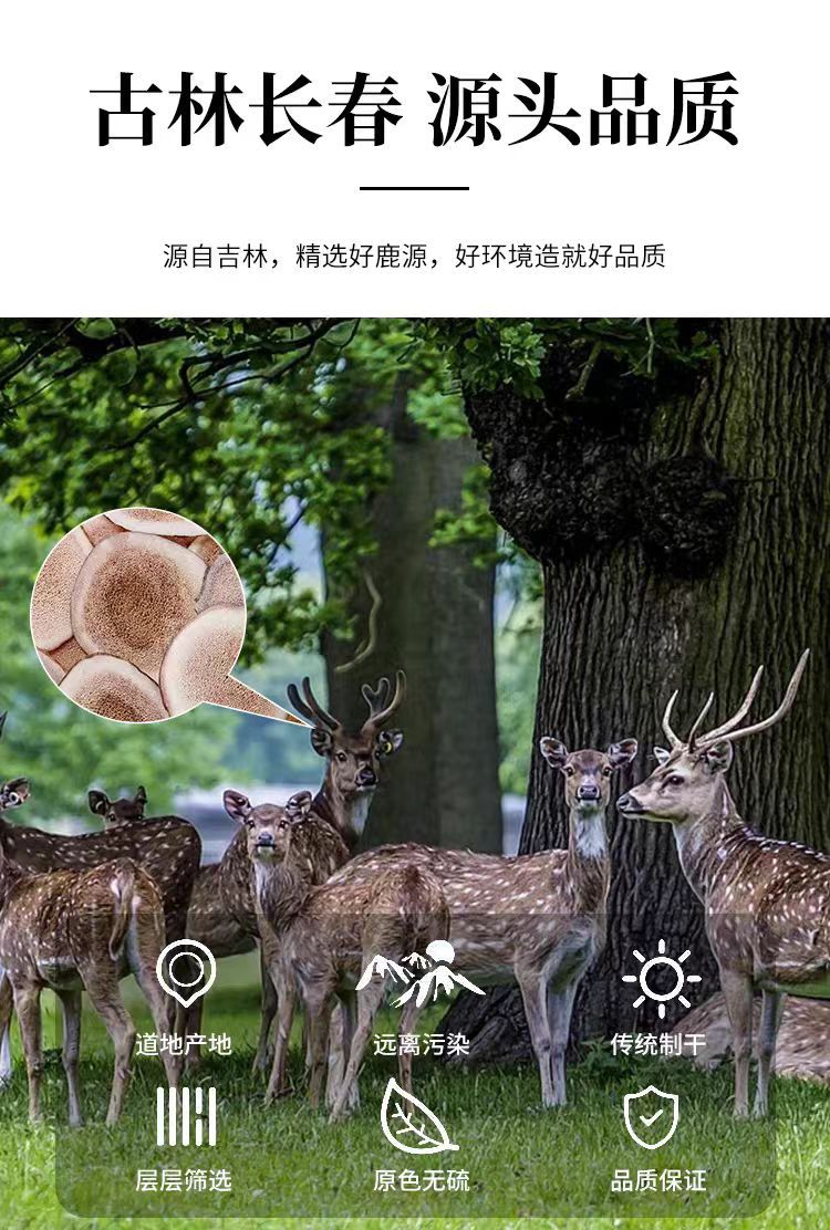 Deer Antler Slices (Cervus nippon) — Dried TCM Herb for Wine & Soup, 500g overview