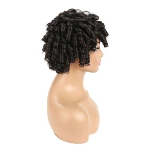 Ͳ���K�p�^�� �hᘰl��l�^�� �ٰlDreadlock Braids Wigs���R�d