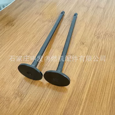 Valves and components Shangchai (SDEC) Yuchai