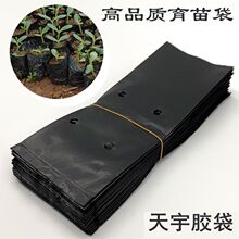 果苗百香果苗桉树苗包黑色塑料育苗袋无纺布育苗袋营森升