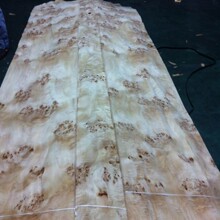 �ח����ƴ��� ��ľ���� �ϙ���� ɽ��������b���� ��ľ����