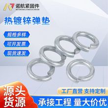 �S�����l8.8������\���|Ȧ����\�_�ڏ��ɉ|Ȧ���ԉ|Ƭ���ى|Ȧ