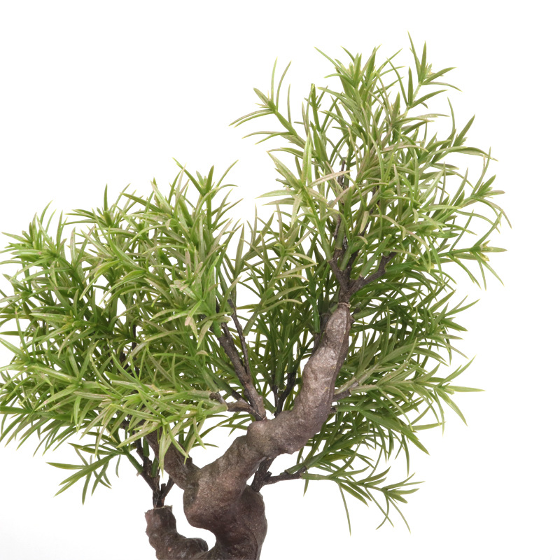 XRS-008 盆栽迷迭香叶0.45米2