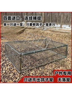 �����ֻ�M�������ӻ\����\����ײ�T�\ȫ�Ԅ������\������