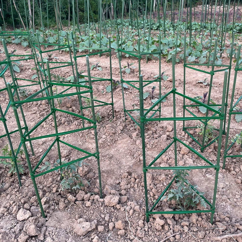 Огурец восхождение на ротанговый кронштейн томатный опорный держатель садовый штатива маракуйя цветочная роза опорный стержень растения
