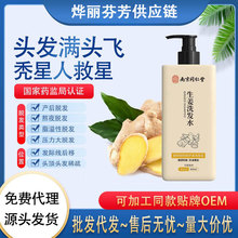 南京同仁堂碧妍德生姜洗发水控油去屑防脱育发洗发露男女通用