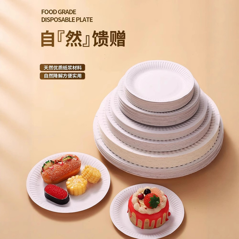 Disposable Dinner Plate Birthday Cake Plate Picnic Party Tableware Paper Plate Kindergarten Art Painting White Paper Plate
