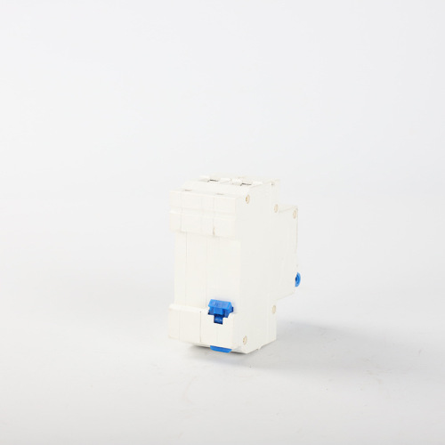 Small leakage circuit breaker C40 2P leakage circuit breaker blue handle micro leakage switch