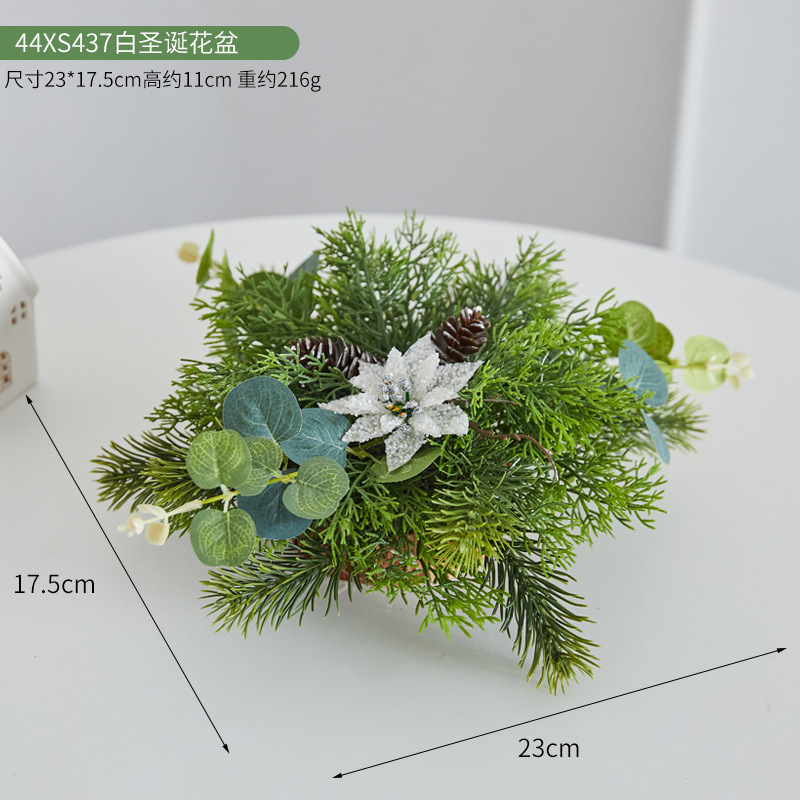44XS437 화이트 크리스마스 화분