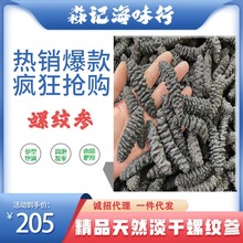 高泡发精品深海淡干龙纹参螺纹参酒店礼盒可用海参干货批发代发