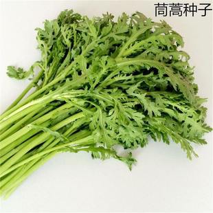 ���羳��؛������N�� �t�{�� �ϱⶹ ���  �߲����~С�~����N