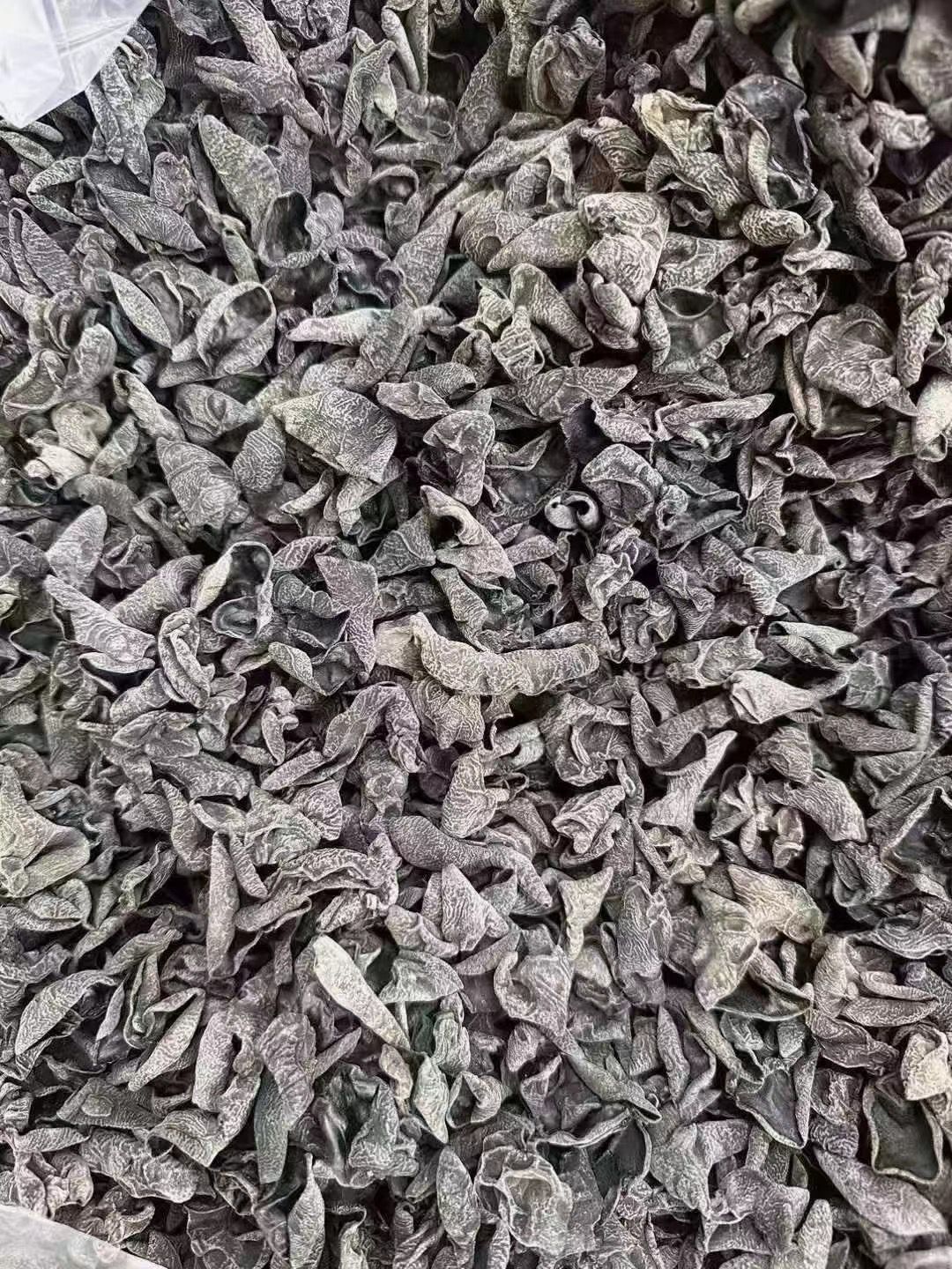 QQ图片20240830231558