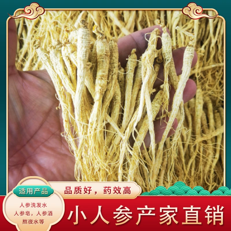 Чанбайшань Женьшень Северо-Восточный Женьшень Женьшень Женьшень Женьшень Вино Суп Женьшень Женьшень