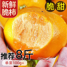 正宗云南脆柿原产地应当季新鲜水果香脆可口园地现采摘整箱包邮发