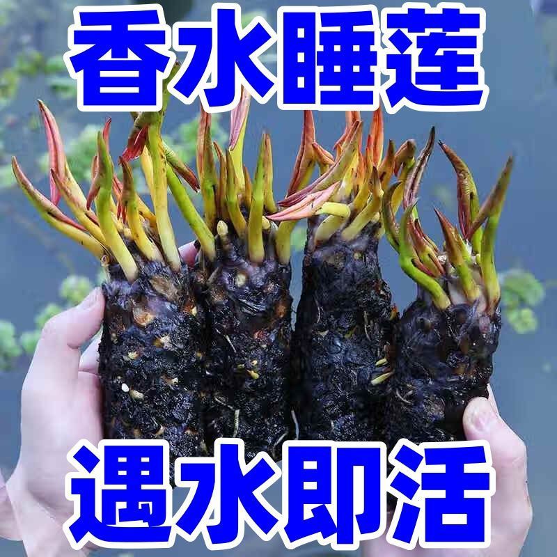 11b78bc2-9595-4651-8e8d-e66fc481c775.jpe