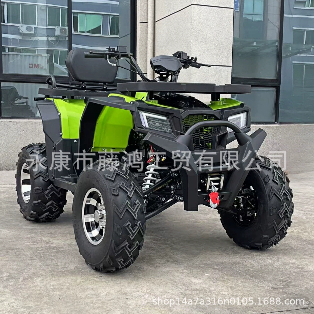 [200cc дорожный страж пляжа без вариатора четырехколесный внедорожный мотоцикл автомат]