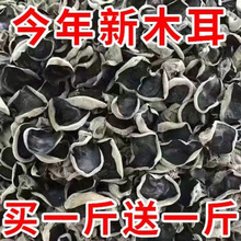 东北黑木耳干货级小碗耳秋木耳无根干木耳