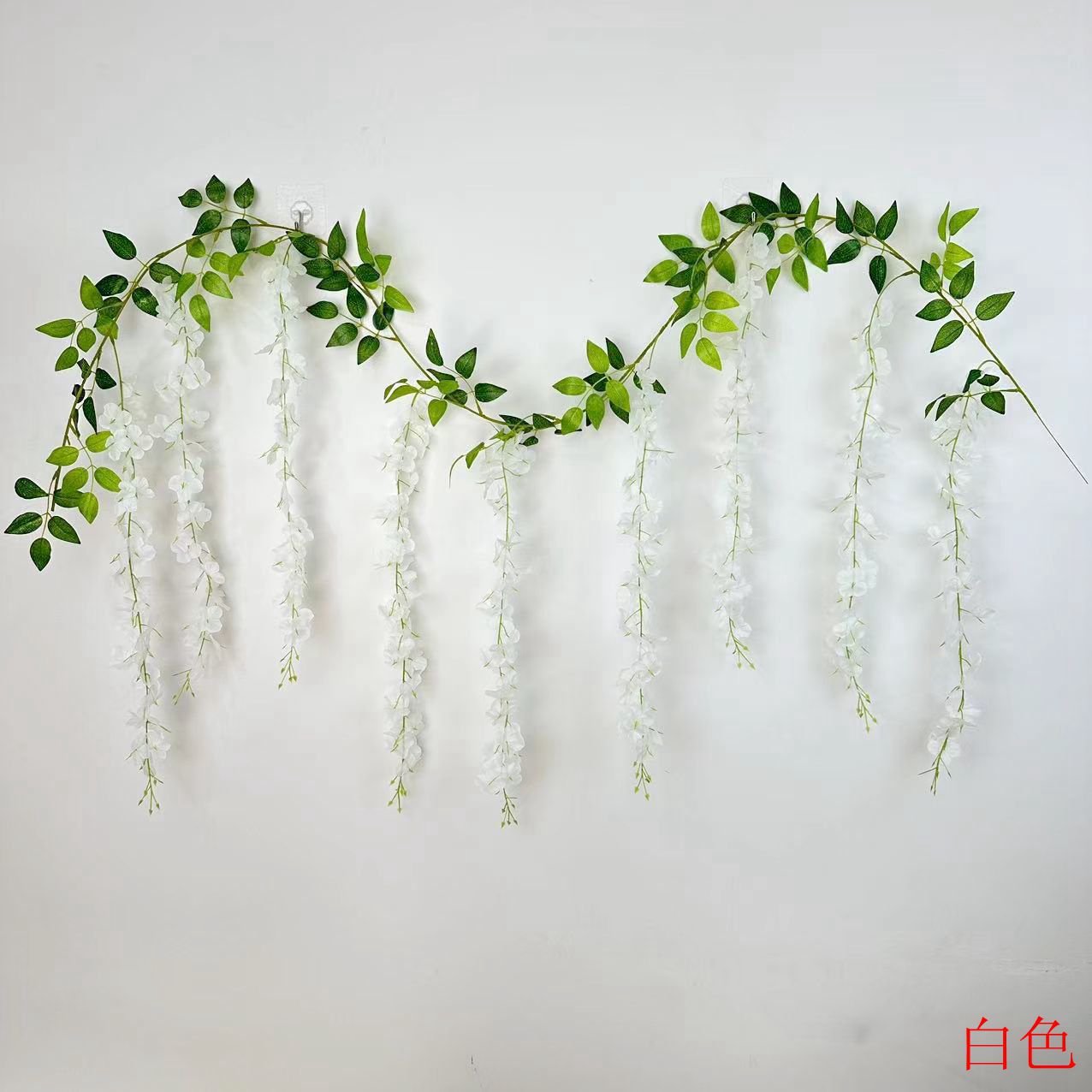 화이트