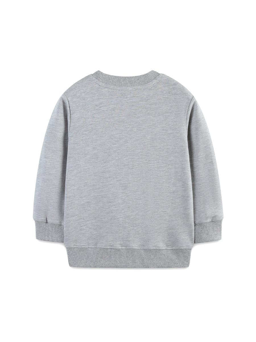 Sudadera de otoño para niños, estilo europeo y americano, con bordado de animales, suéter de punto de algodón para niños pequeños, venta al por mayor. image 4