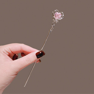 ħ�����l����ϵ�ɐ���Ů���^��s�l�O�r��С���l�2024�¿�����