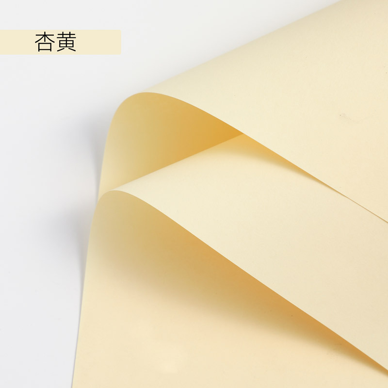 Papel de Arte para Envolver Flores Papel Especial Impermeable y Grueso para Ramos de Regalo