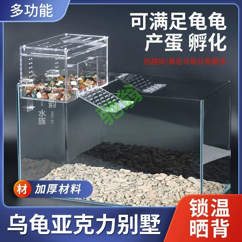 Уютная черепаха сушит ящик для разведения в теплом доме