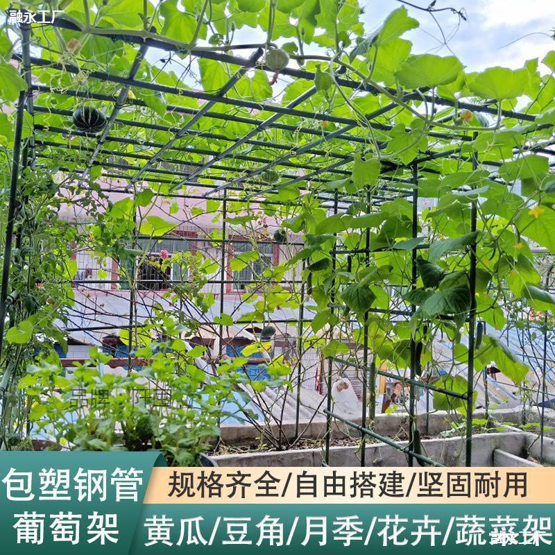 萄藤架户外院子 葡萄架杆 葡萄棚架 庭葡萄架子组装 爬藤网架子