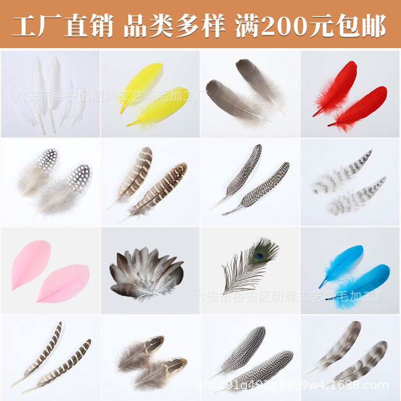 天然鸡毛鸭毛鹅毛禽鸟彩色羽毛100片装DIY手工饰品捕梦网装饰辅料