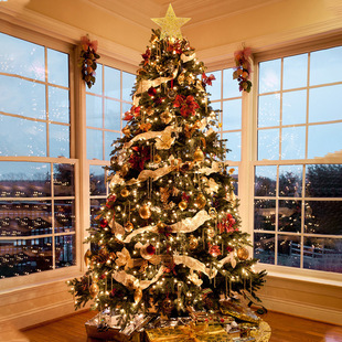 Christmas 1.2/1.5/2.13 m luxury encrypted Christmas tree home package shopping mall store layout luminous tree