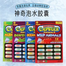 跨境泡水变大恐龙膨胀胶囊动物模型美人鱼独角兽儿童摆摊益智玩具