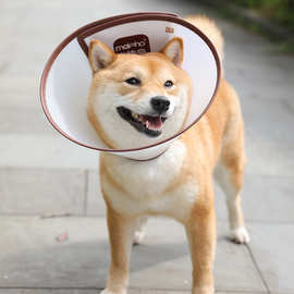 伊丽莎白圈猫咪项圈大型犬金毛头罩狗狗头套宠物防咬舔耻辱圈围脖