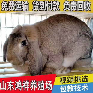 �S��ֱ�N���N�����Ãr��������������Ãr������w���ìF؛����