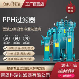 PPH袋式过滤器PVDF过滤器耐酸碱一体成型滤袋式滤芯式过滤设备