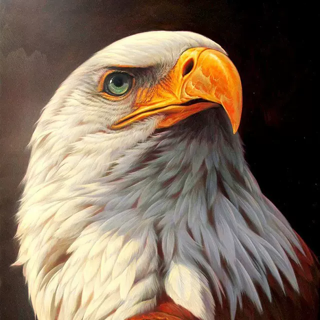 美国跨境爆款钻石画满钻秃鹰老鹰手工diy5d圆钻客厅玄关走廊装饰