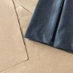 Short Skirt 51356 S