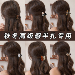ハイライトの琥珀色のさくらんぼの小さいつかみの女性2025新型のハイエンドのヘアピンの後頭部の額の側のクリップの髪飾り