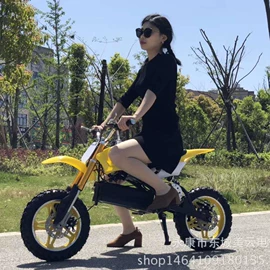 沙滩车;其他电动车;平衡车