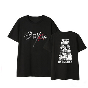 Stray Kids����T��݋ͬ����߅��Ԯ��Ů�W�������n���ļ������