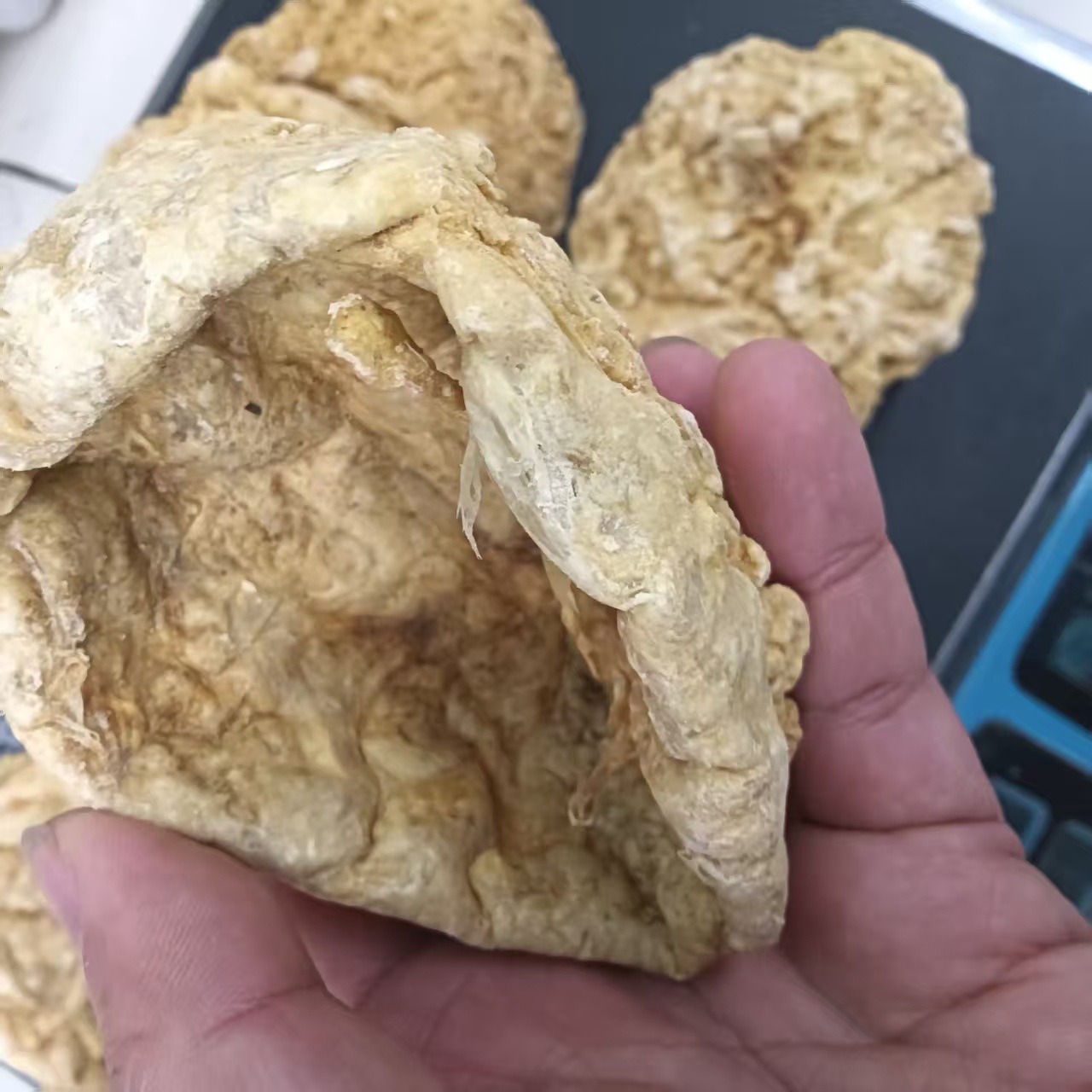 Sheep Placenta Powder 500g Yang Tai Pan Dried Traditional TCM Herbal Supplement key features